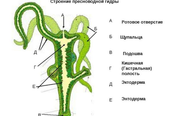 Открыть официальный сайт блэк спрут