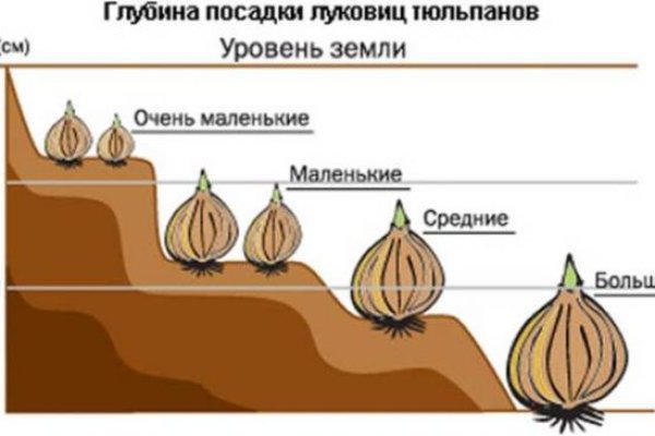 Бот в телеграмме для пополнения blacksprut