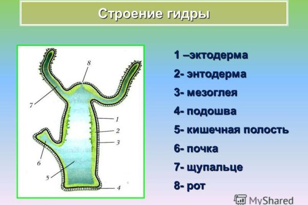 Black sprut market ссылки